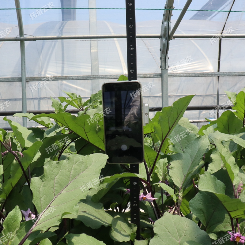 作物株高測(cè)量?jī)x TPDM-G-1