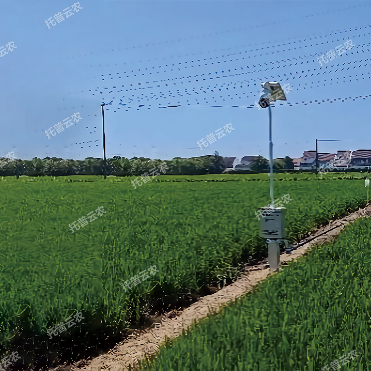 TP-GESB2.0自動(dòng)趕蛾智能統(tǒng)計(jì)桿