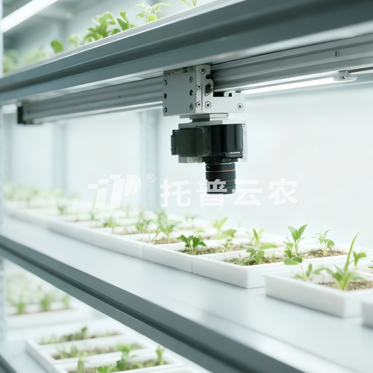 人工氣候室植物表型監(jiān)測系統(tǒng)TP-PlantPhy